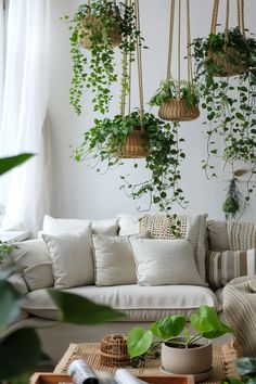 a living room with plants hanging from the ceiling