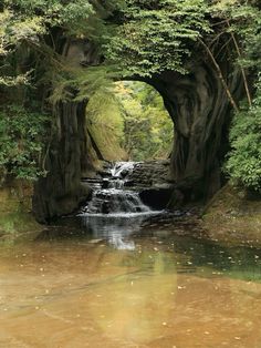 a river flowing through a lush green forest filled with lots of trees next to a small waterfall