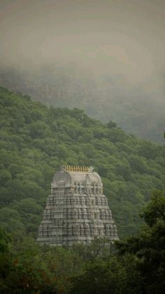 #tirupati #temple Balaji Wallpaper, Balaji God, Tirupati Temple, One Day Book, Tirupati Balaji, Indian Temple Architecture, Wallpaper For Android, Temple Photography, Peace Illustration