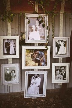 a bunch of pictures hanging on the side of a building with vines growing over them