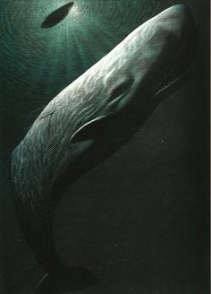 an image of a large whale in the ocean with light coming from it's mouth