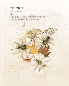 a watercolor painting of white flowers and leaves with the words rudenia written below