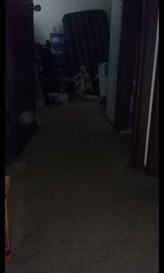 a dark hallway with a dog sitting on the floor