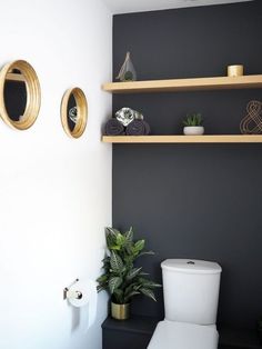 a white toilet sitting in a bathroom next to a wooden shelf filled with potted plants