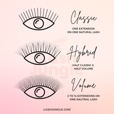 Eyelash Extensions Techniques, Understanding Lash Mapping, Lash Extensions Techniques, Lash Types Eyelash Extensions, Lash Extensions Explained, Types Of Lashes Extensions, Different Types Of Eyelash Extensions, Eyelash Anatomy, Different Eyelash Extension Styles