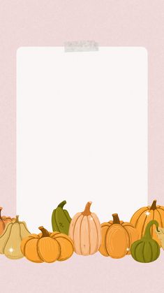 pumpkins and gourds are lined up in front of a white sheet of paper