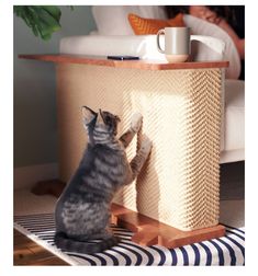 a cat sitting on the floor next to a table with a coffee cup in it