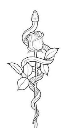 Simple Tattoo Outlines For Women, Snake And Rose Drawing, Rose Snake Tattoo Design, Snake Outline Tattoo, Rose And Snake Tattoo Design, Rose Snake Tattoo, Snake Tattoo Stencil, Begginer Tattoo Designs, Snake Rose Tattoo