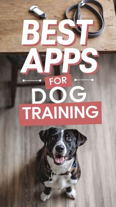 a dog sitting on top of a wooden floor with the words best apps for dog training above it