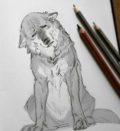 a pencil drawing of a wolf sitting down