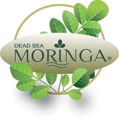 the dead sea morringa logo with green leaves on it's side and an oval