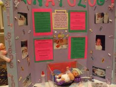 a baby's birth display with pictures and information