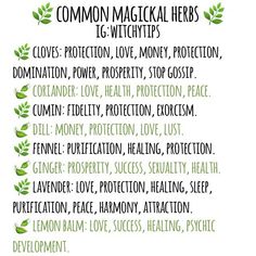 A list of common herbs & their magickal properties! 🌿 These herbs can be found at your local grocery store in the fresh section or spice… Witchytips Instagram, Magical Tattoos, Witchy Herbs, Herb Magick, Green Witchery, Magick Herbs, Witches Kitchen, Herbal Candles, Herbs To Grow