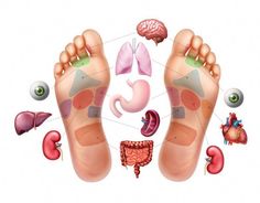 Dieser Beitrag zeigt, warum man über die Füße entgiften kann und beleuchtet 3 Hausmittel, die als erprobt und wirksam gelten. Acupressure Points, Healthy Smile, World Crafts, Foot Massage, Foot Pain, Tooth Decay, Reflexology, Acupressure