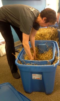 a man bending over to pick up hay from a blue bin filled with straws