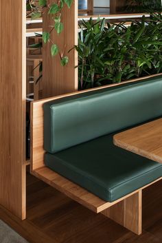 a wooden bench sitting next to a green plant in front of a book shelf on top of a hard wood floor