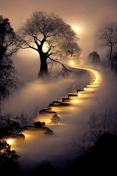 the steps are illuminated by lights in the foggy night, with trees on either side