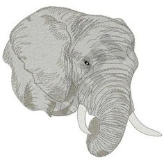 an elephant with tusks on it's head is shown in grey and white