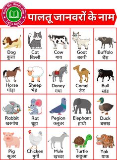 a poster with different animals and their names in the english speaking language, which includes pictures of