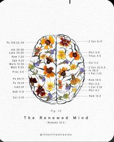 a poster with flowers on it and the names of different parts of the human brain