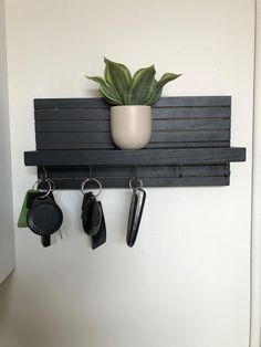 a potted plant sitting on top of a wooden shelf next to two key hooks