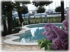 an outdoor swimming pool with purple flowers in the foreground