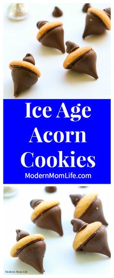 an image of ice age acorn cookies