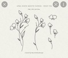 three flowers are shown with the words,'april birth month flower sweet pea '