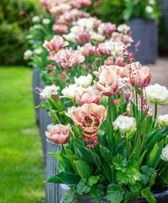 a row of flower pots filled with pink and white flowers