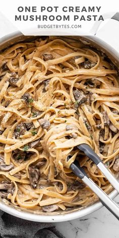 one pot creamy mushroom pasta in a skillet