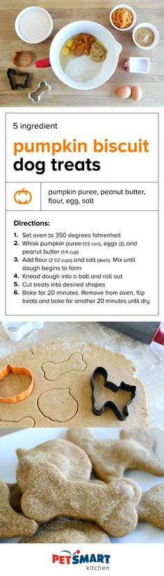 pumpkin biscuit dog treats recipe with instructions