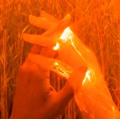 someone holding their hand up to the camera in front of some tall grass and fire