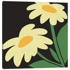 two yellow daisies with green leaves on a black background