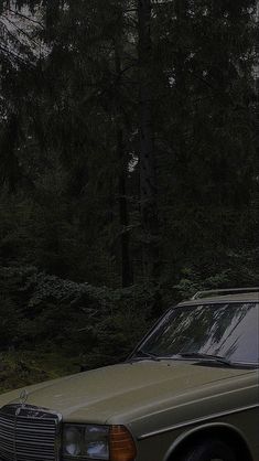 a brown car parked in front of some trees