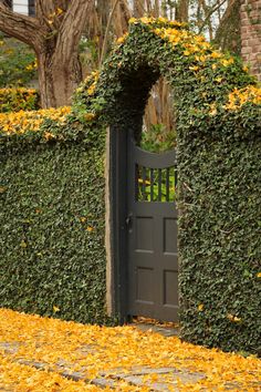 an open gate is surrounded by yellow leaves