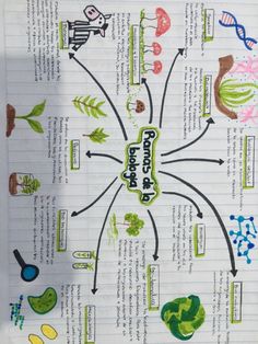 the diagram shows different types of plants and animals