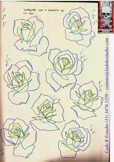 the drawing shows how to draw roses with colored pencils