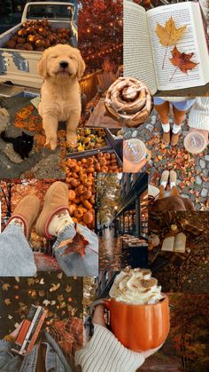 a collage of photos with autumn leaves, pumpkins and a dog sitting on the ground