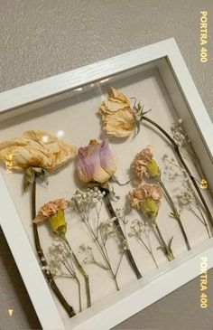 an arrangement of dried flowers in a shadow box