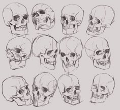 a bunch of skulls that are drawn in different angles and sizes, each with their own head