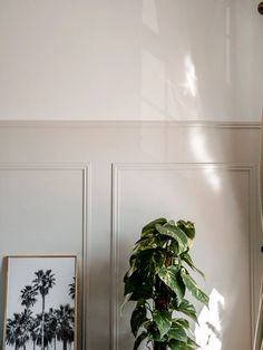 a potted plant sitting on top of a wooden table next to a framed photograph