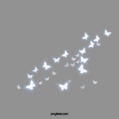 a flock of white butterflies flying in the sky with their wings spread out and glowing