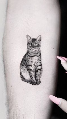 a cat tattoo on the left arm