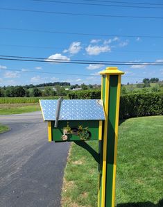 a green and yellow mailbox sitting on the side of a road next to a lush green field