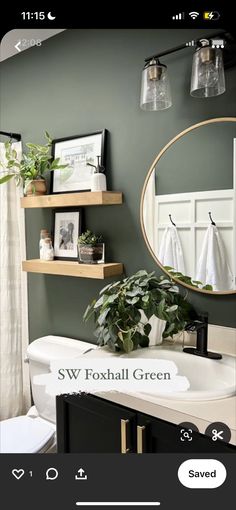 the bathroom is decorated in green and white with plants on the shelf above the sink