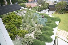 an aerial view of a green roof garden