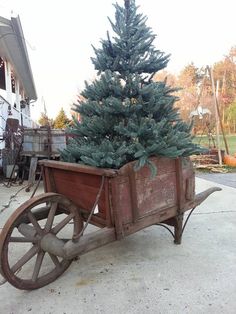 a christmas tree sitting in a wooden wagon