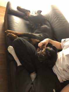 a woman laying on top of a couch next to a black and brown dog with it's head resting on her leg