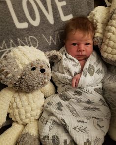 a baby wrapped in a blanket next to two stuffed animals and a love sign on the wall