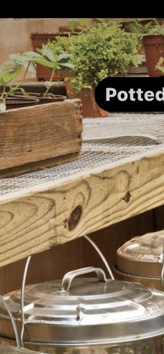 pots and pans sitting on top of a wooden table next to potted plants